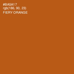 #BA5A17 - Fiery Orange Color Image